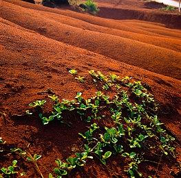 2023蒸汽平台鉴赏家大会 阵容亮点前瞻