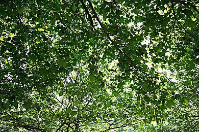 《魔兽世界》公布3个资料片 打造星魂剧情线